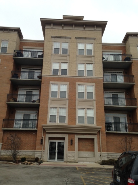 190 W Johnson Street #305, Palatine, IL