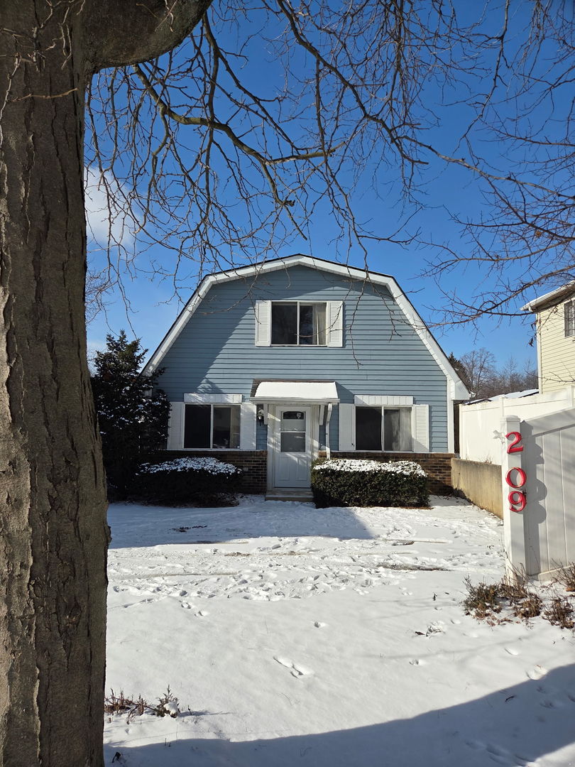 209 Mill Stream Drive, Bolingbrook, IL