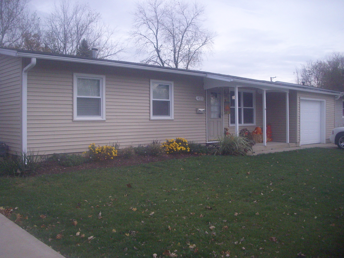 423 Dalhart Avenue, Romeoville, IL