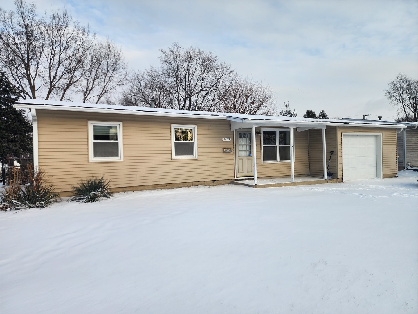 423 Dalhart Avenue, Romeoville, IL