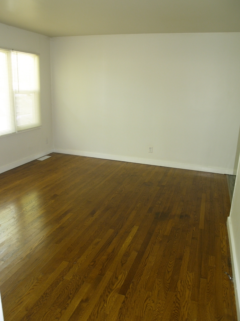 22431 STRASSBURG Avenue, Sauk Village, IL