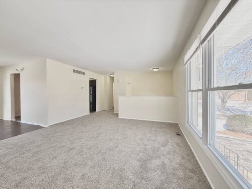 21616 RICHMOND Street, Matteson, IL