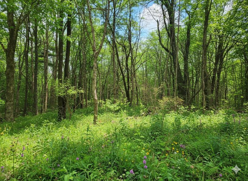 1875 Pleasant Woods Circle, Carbondale, IL