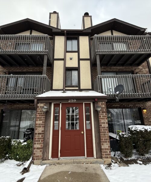 259 Stoneybrook Lane #2B, Bloomingdale, IL