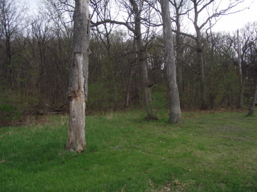 lot 012 Tuscola Avenue, St. Charles, IL