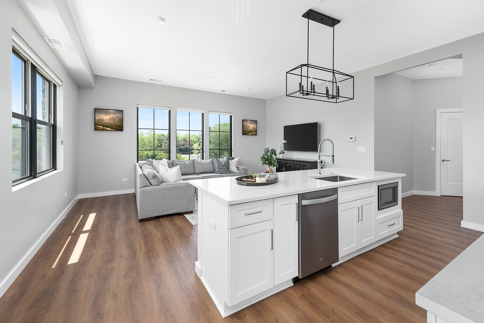 720 N Washington Street #306, Naperville, IL