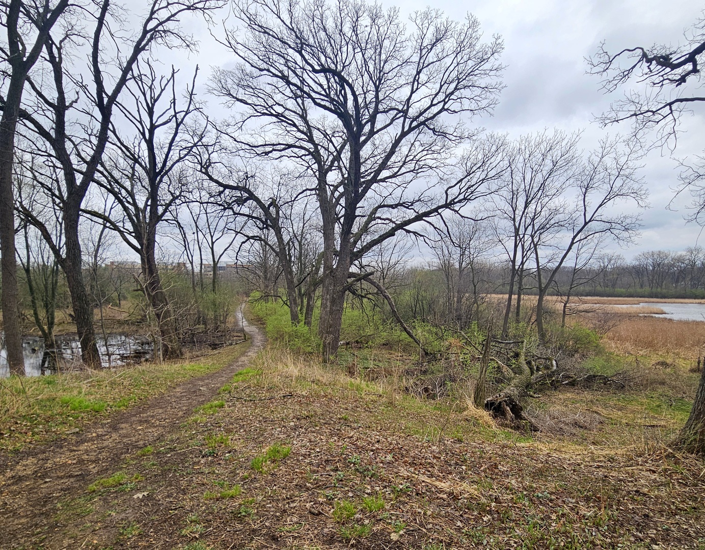 3700 Woodland Lane, Downers Grove, IL