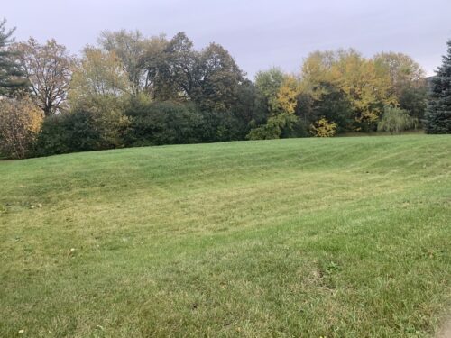 335 W 63rd Street, Willowbrook, IL