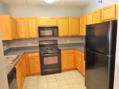 410 W Mahogany Court #407, Palatine, IL