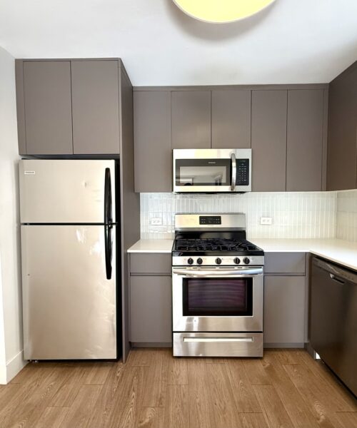 420 W Belmont Avenue #4E, Chicago, IL