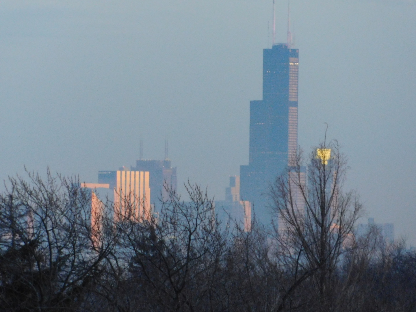 6000 N Cicero Avenue #301, Chicago, IL