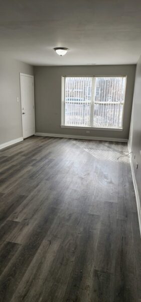 642 W 123rd Street #1, Chicago, IL