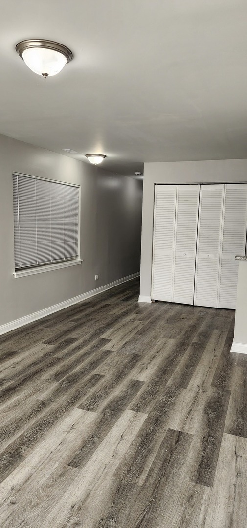 642 W 123rd Street #1, Chicago, IL