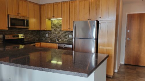 435 W Erie Street #1205, Chicago, IL