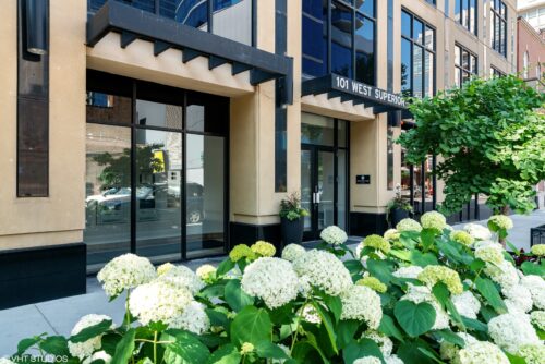 101 W Superior Street #905, Chicago, IL