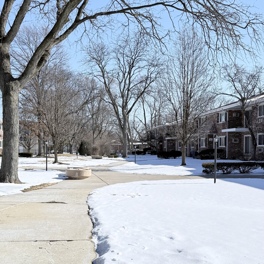 37 N Main Street #40, Glen Ellyn, IL
