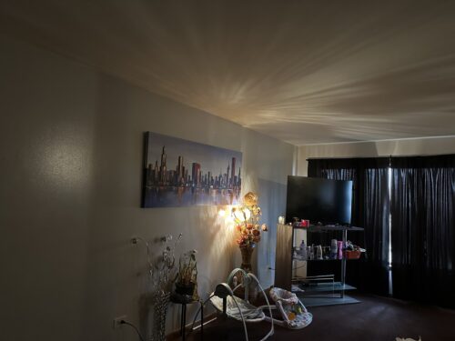 310 W 145TH Place, Riverdale, IL