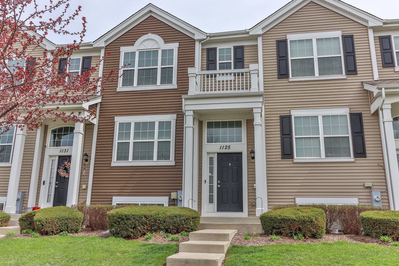 1125 Alta Vista Drive, Pingree Grove, IL