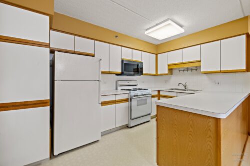 6755 N Milwaukee Avenue #303, Niles, IL