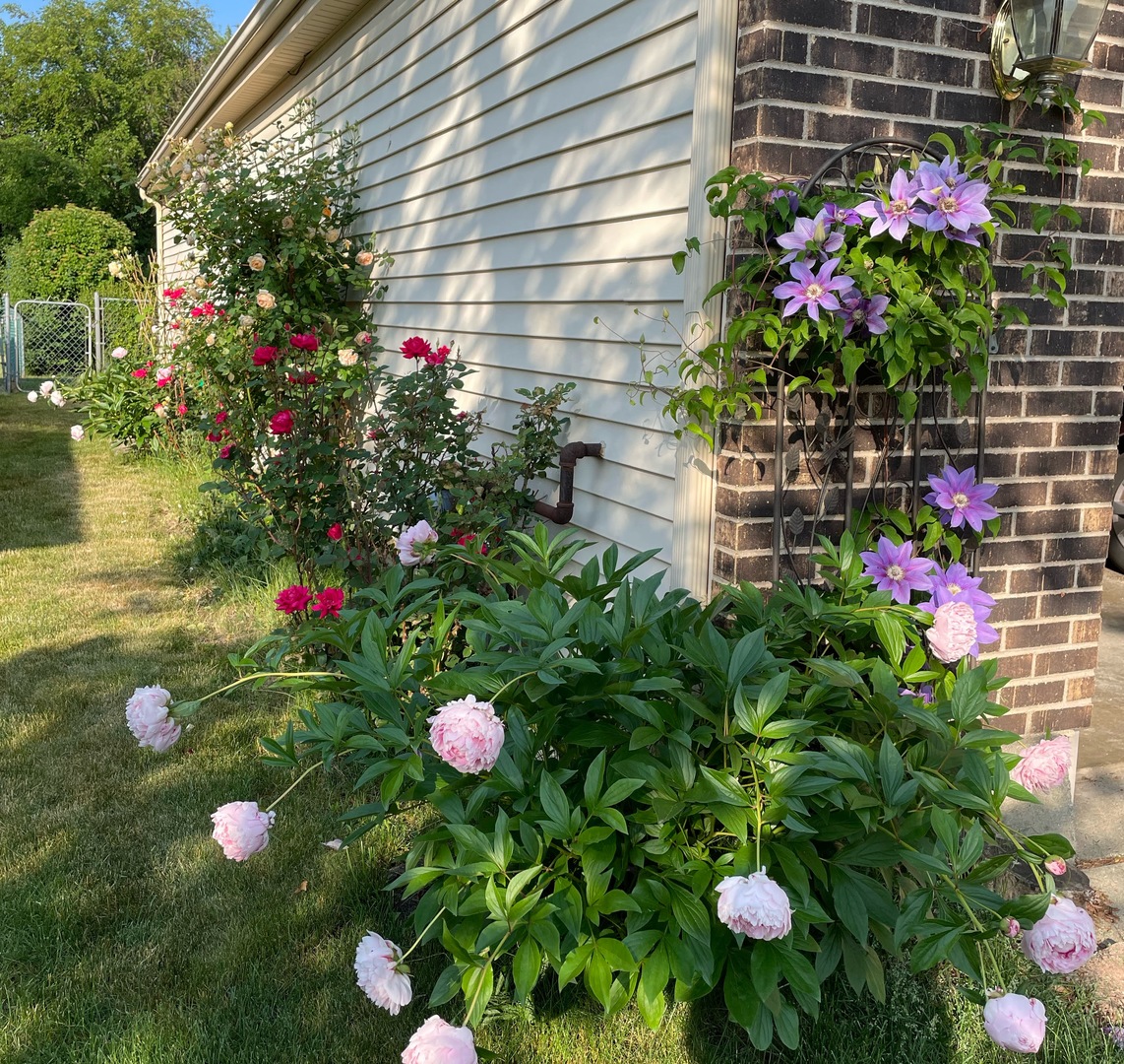 630 Cobblestone Lane, Buffalo Grove, IL