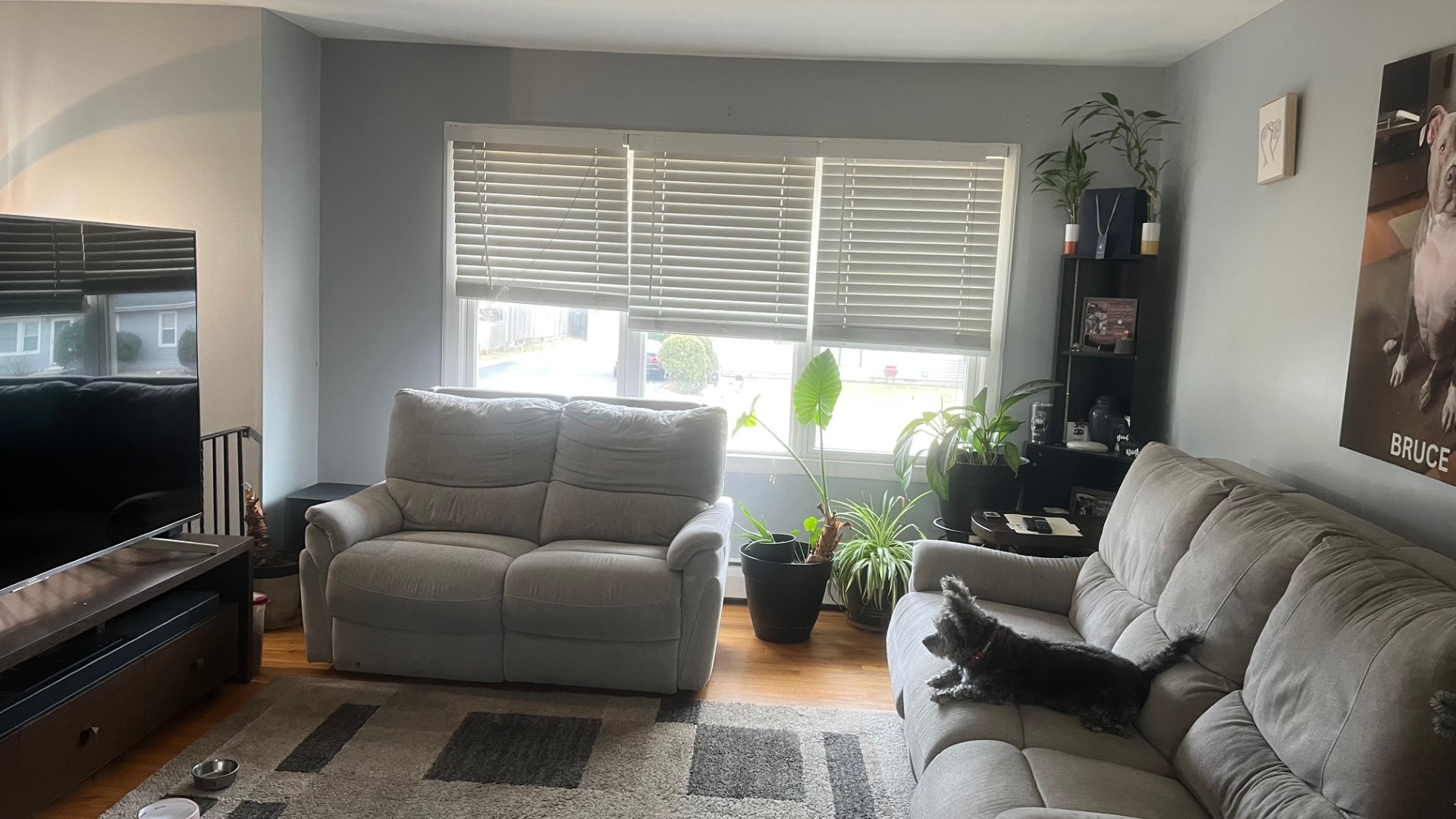 450 Sherwood Drive, Aurora, IL