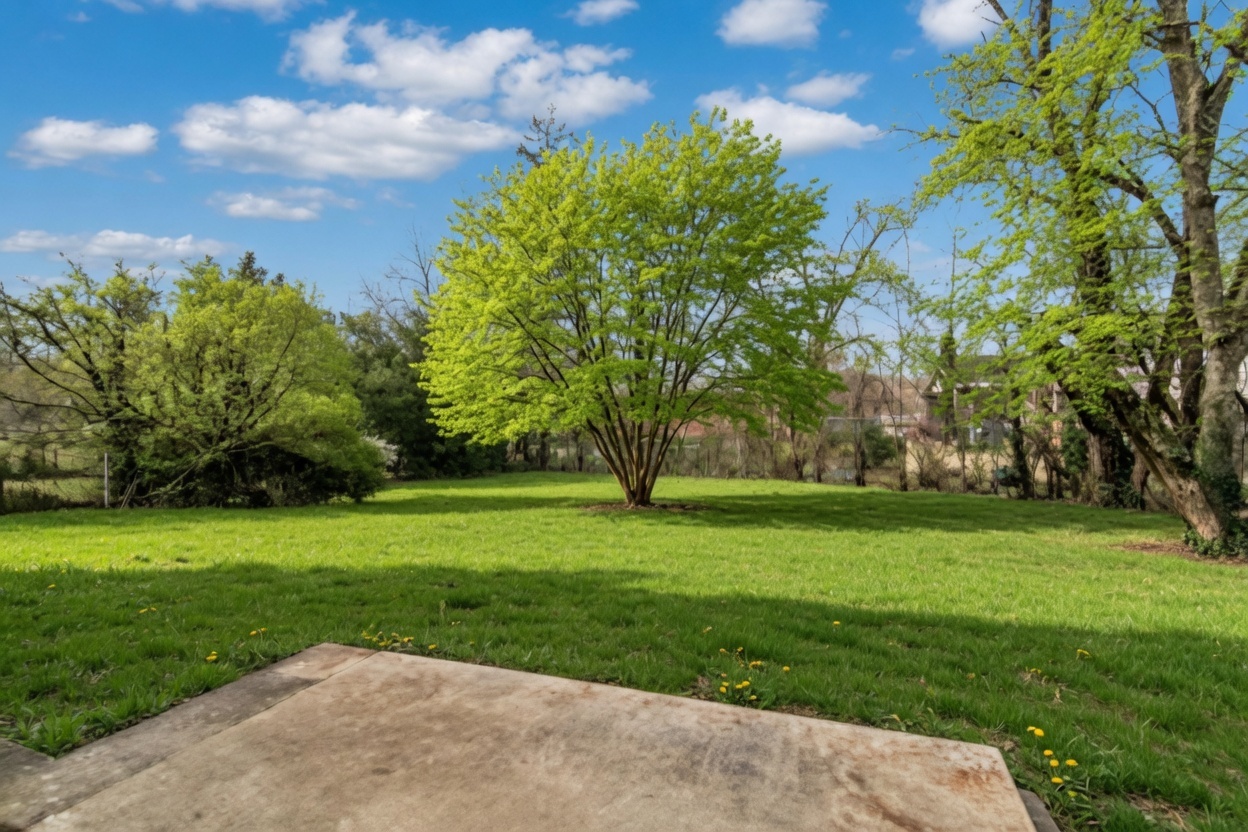 18135 Cherrywood Lane, Homewood, IL