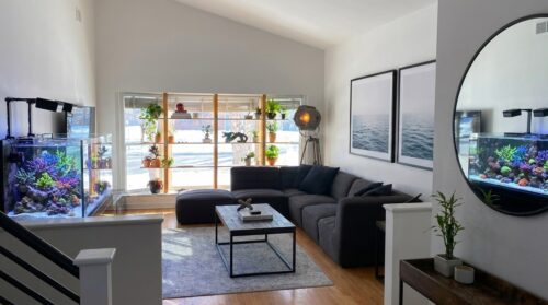 7258 N Crawford Avenue, Lincolnwood, IL