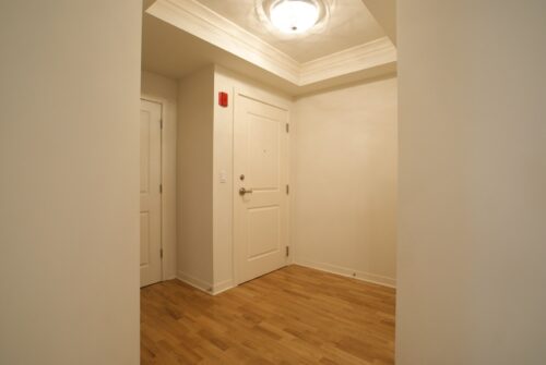 425 BENJAMIN Drive #209, Vernon Hills, IL