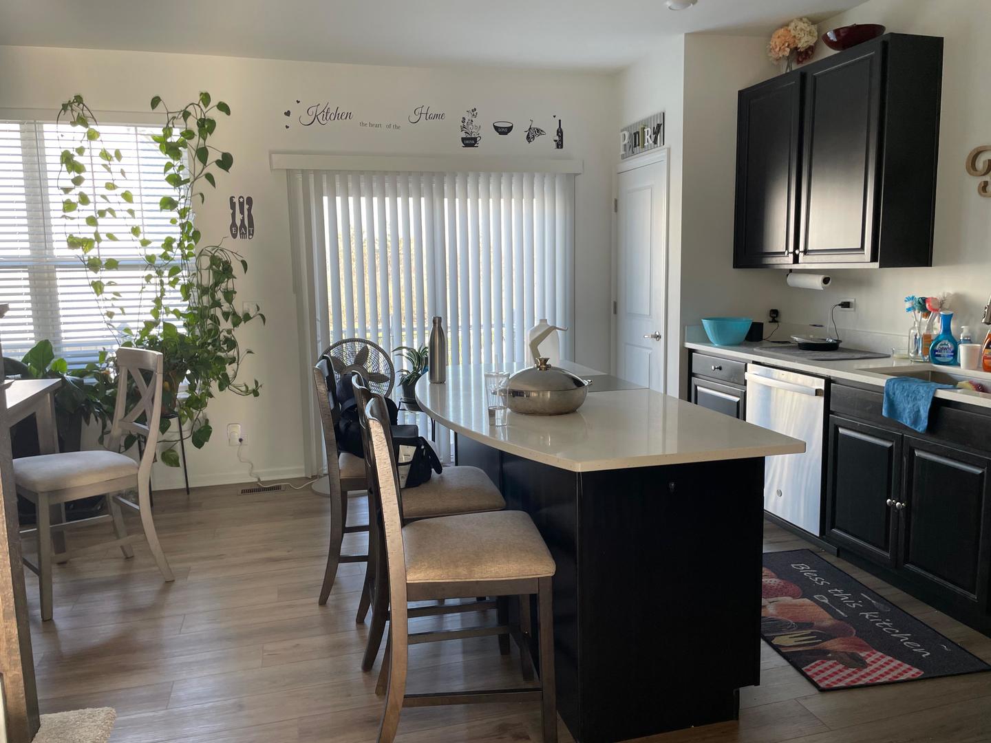 529 Wolverine Drive, Aurora, IL