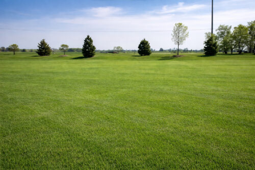 9420 W MAJESTIC Drive, Monee, IL