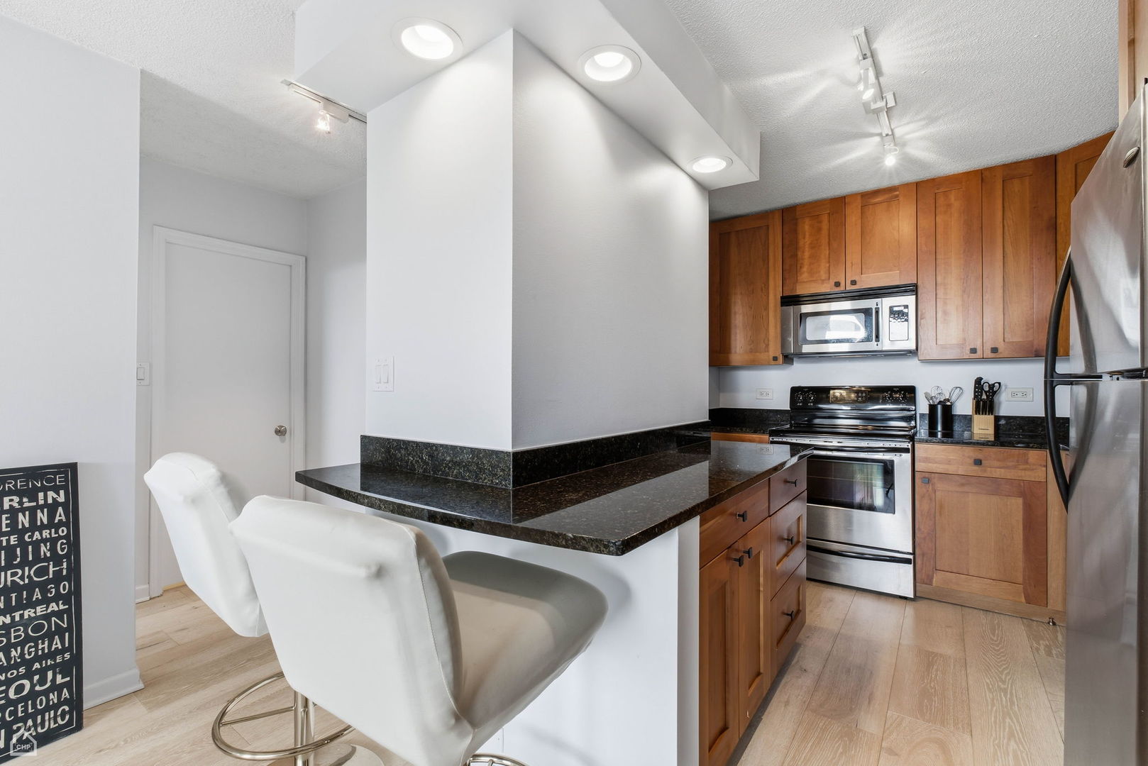 450 W Briar Place #10H, Chicago, IL