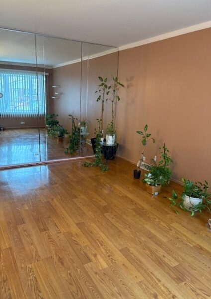 4510 S La Crosse Avenue, Chicago, IL
