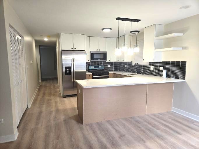 1810 S Hamlin Avenue, Chicago, IL