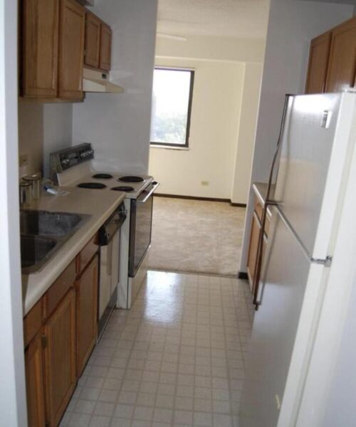 1840 Huntington Boulevard #BW511, Hoffman Estates, IL