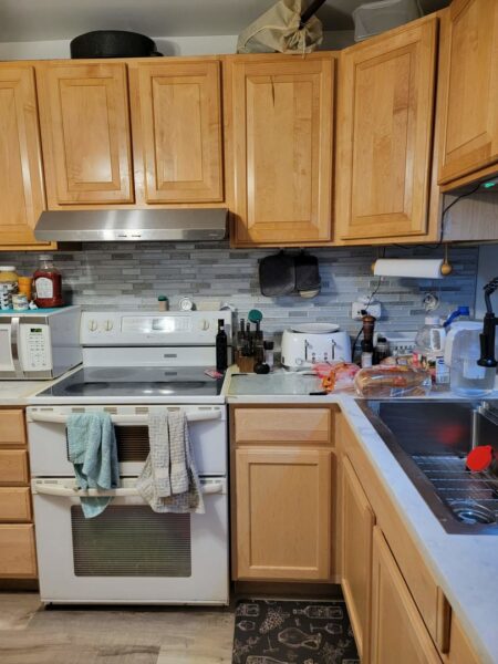 236 George Street #B, Bensenville, IL
