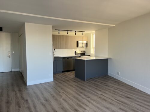 2 E OAK Street #2002, Chicago, IL