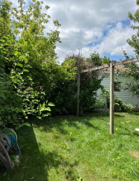 7736 W Winona Street, Norridge, IL