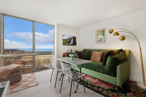 1555 N Dearborn Parkway #17C, Chicago, IL