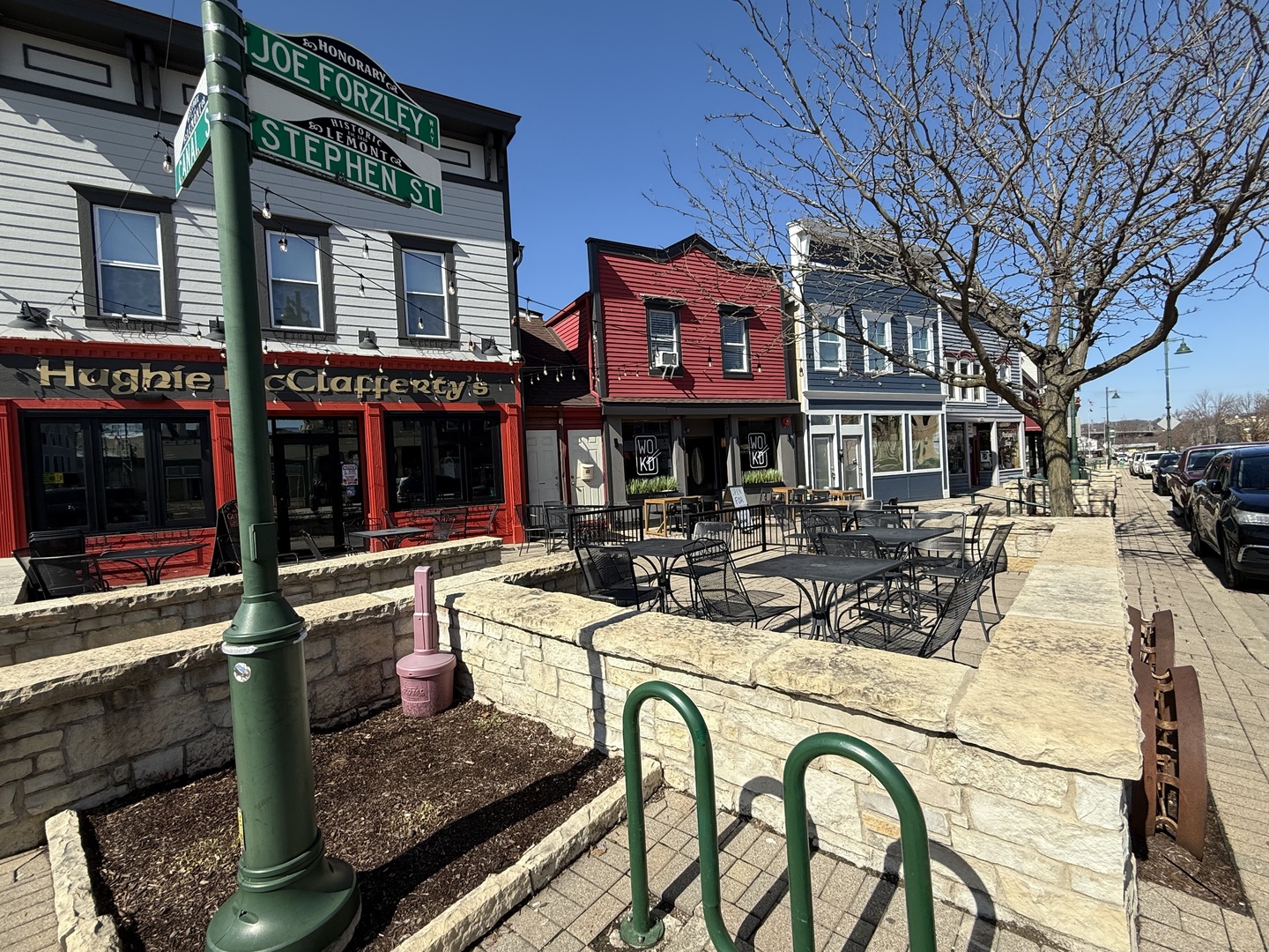 114 Stephen Street #1, Lemont, IL