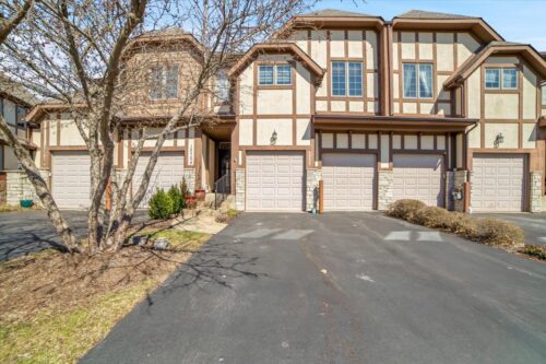 12704 Wild Rye Court, Plainfield, IL