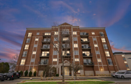 405 S Creekside Drive #605, Palatine, IL