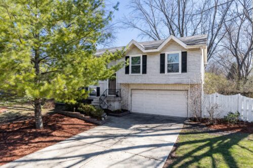 128 S BIRCHWOOD Drive, Naperville, IL