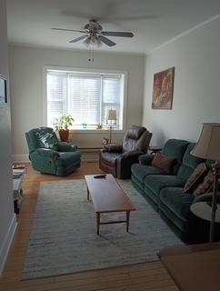 3612 S Emerald Avenue #1F, Chicago, IL