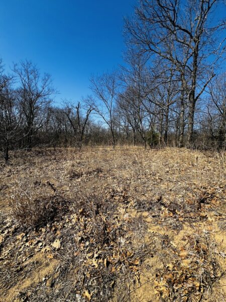 15001 15000 Road, Pembroke Twp, IL