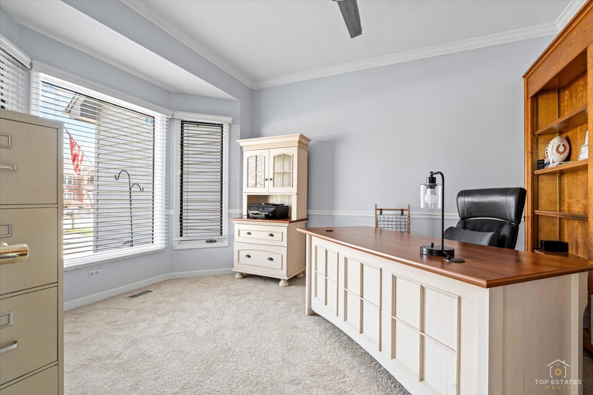 3719 Falkner Drive, Naperville, IL