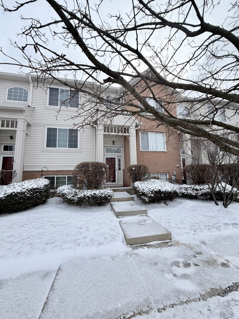 10233 Concord Lane #C, Bridgeview, IL