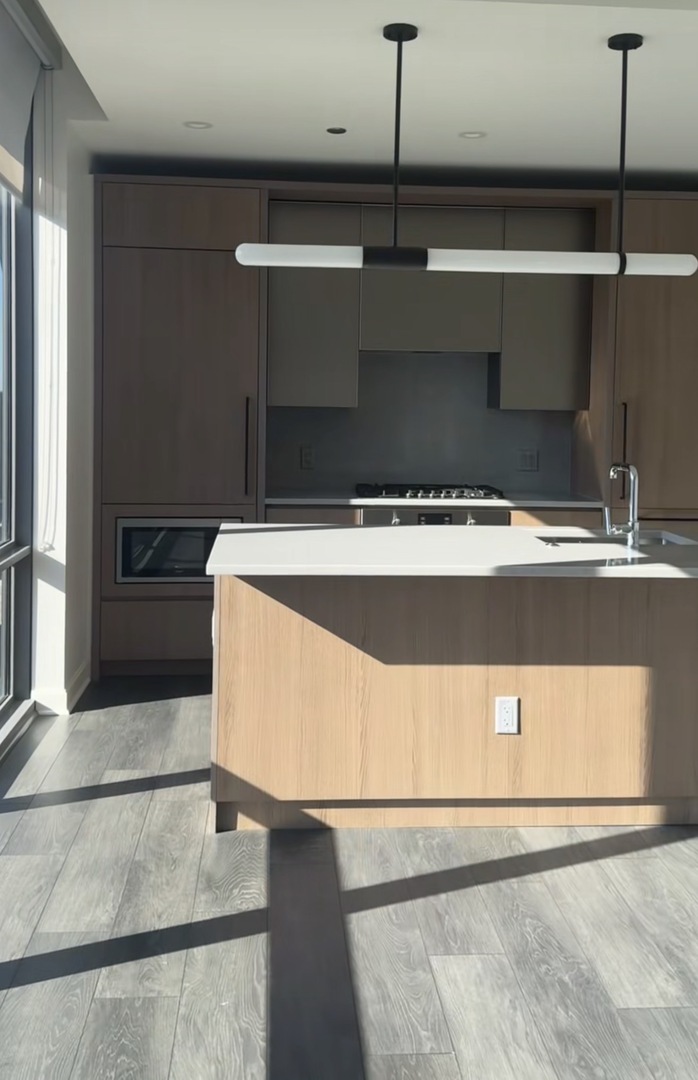 164 N Peoria Street #1106, Chicago, IL