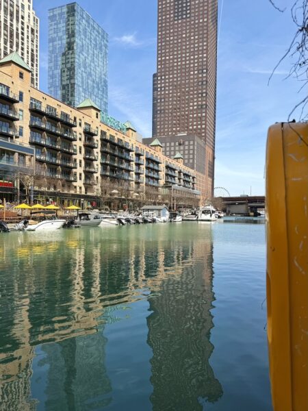 480 N McClurg Court #520, Chicago, IL