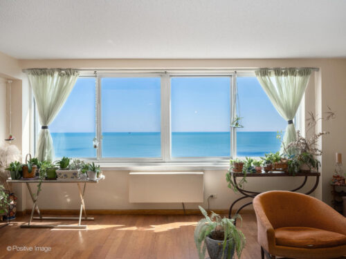 1440 N Lake Shore Drive #10D, Chicago, IL