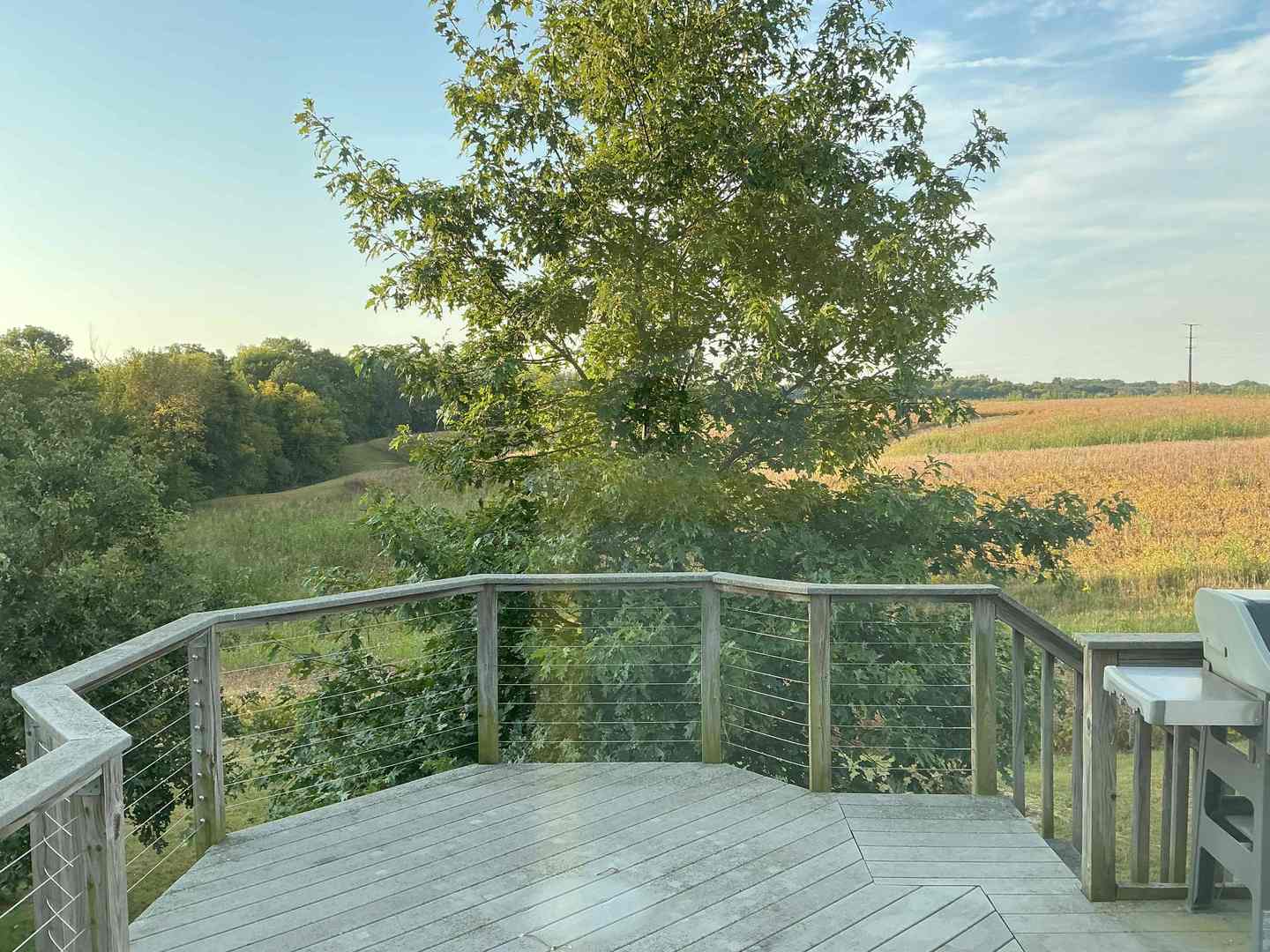 1808 106th Avenue, Milan, IL